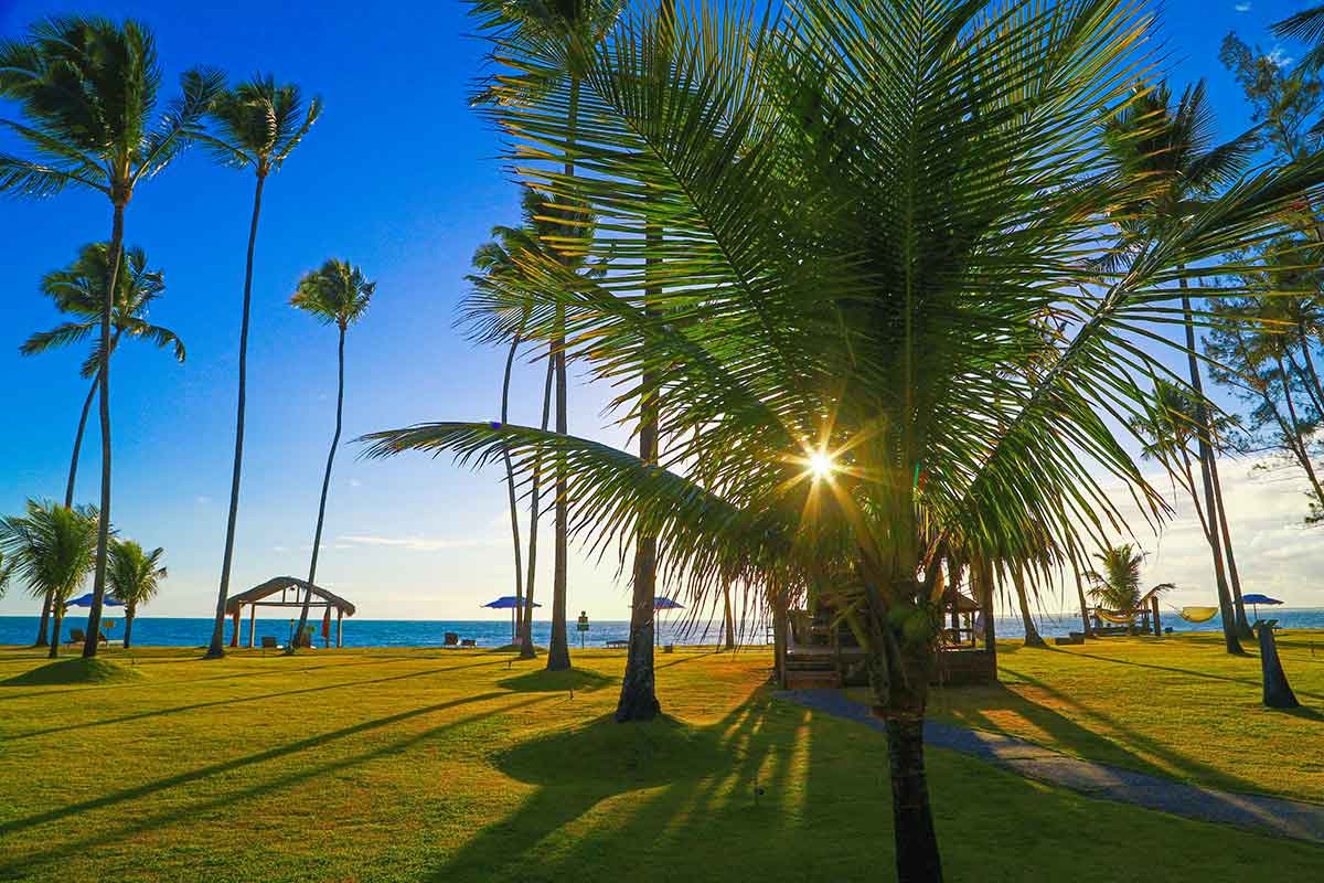 Pousada Xales Maracaípe - Porto de Galinhas