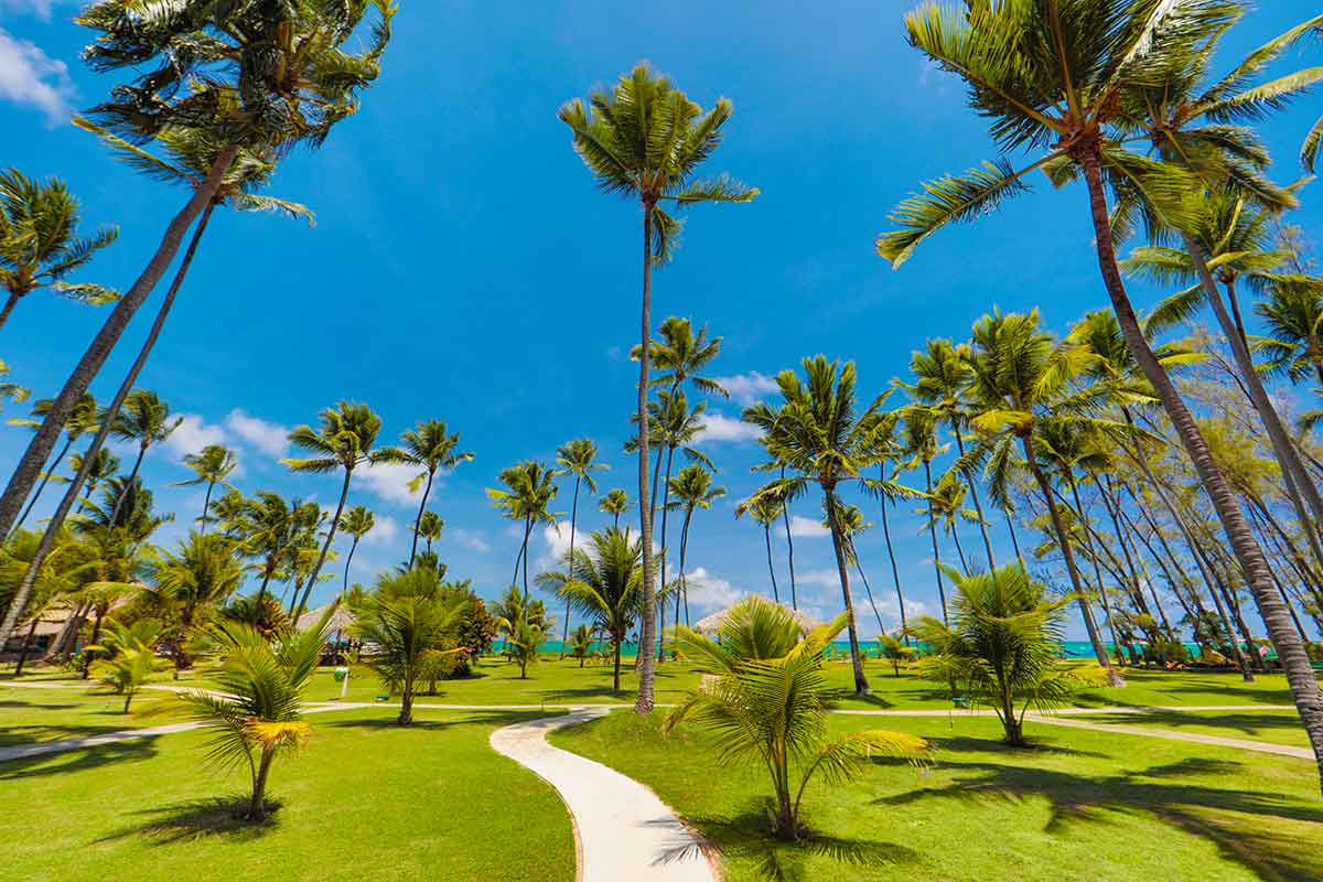 Pousada Xales Maracaípe - Porto de Galinhas