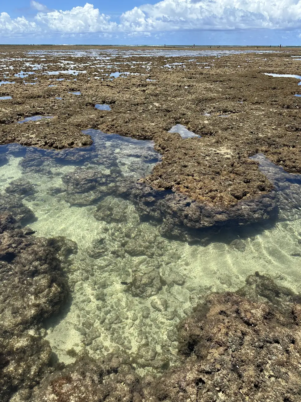 Piscinas naturais entre os corais na maré baixa