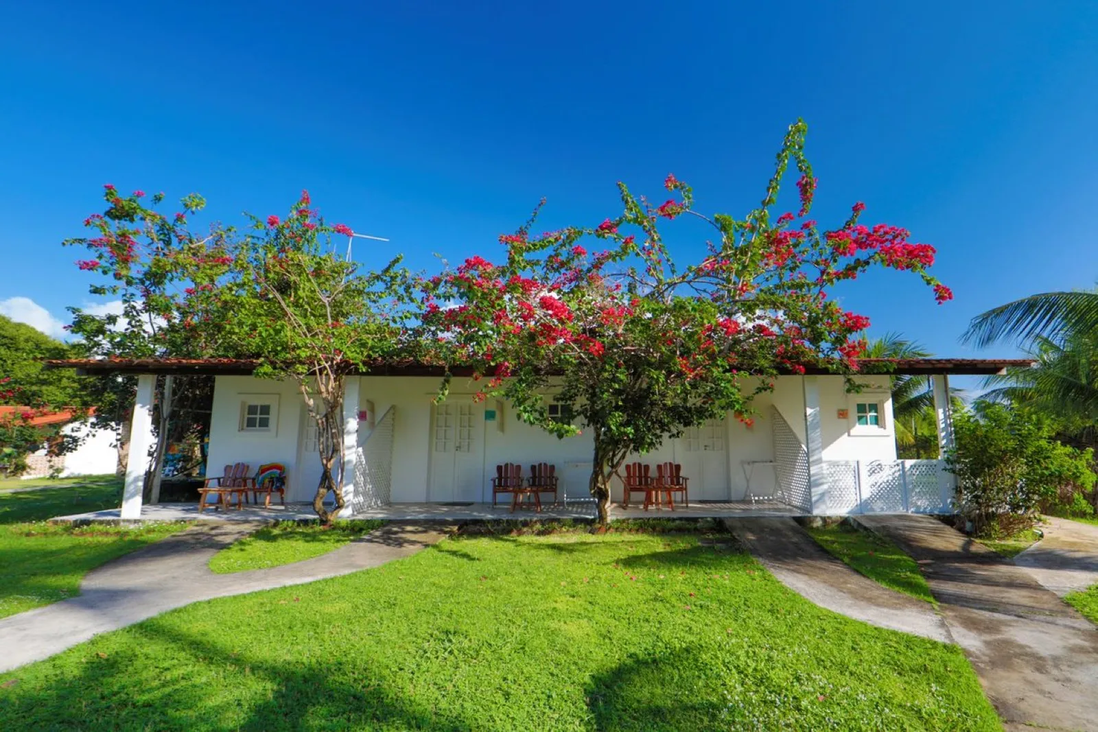 Fachada dos chalés Vista Jardim com pé de buganvília florida cobrindo o telhado